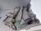 3 halsters maat full, Dieren en Toebehoren, Ophalen of Verzenden, Gebruikt, Overige soorten