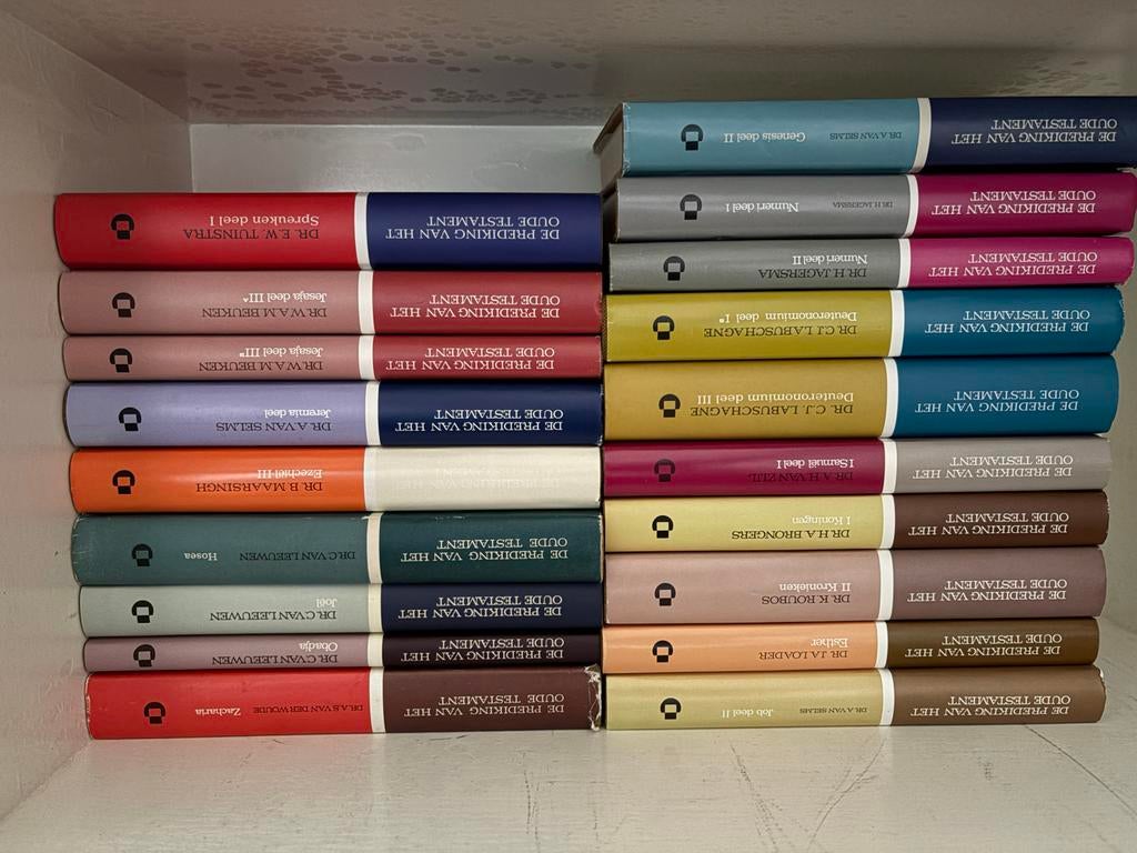 De Prediking van het Oude Testament, Ophalen of Verzenden, Gelezen, Christendom | Protestants
