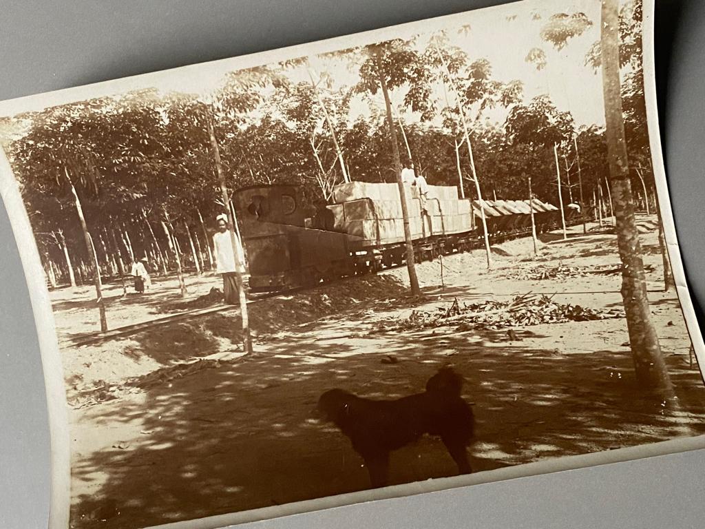 2 oude foto’s uit Nederlands Indië (neushoornvogel / trein), Verzamelen, Gebruikt, Foto, Voor 1940, Buitenland