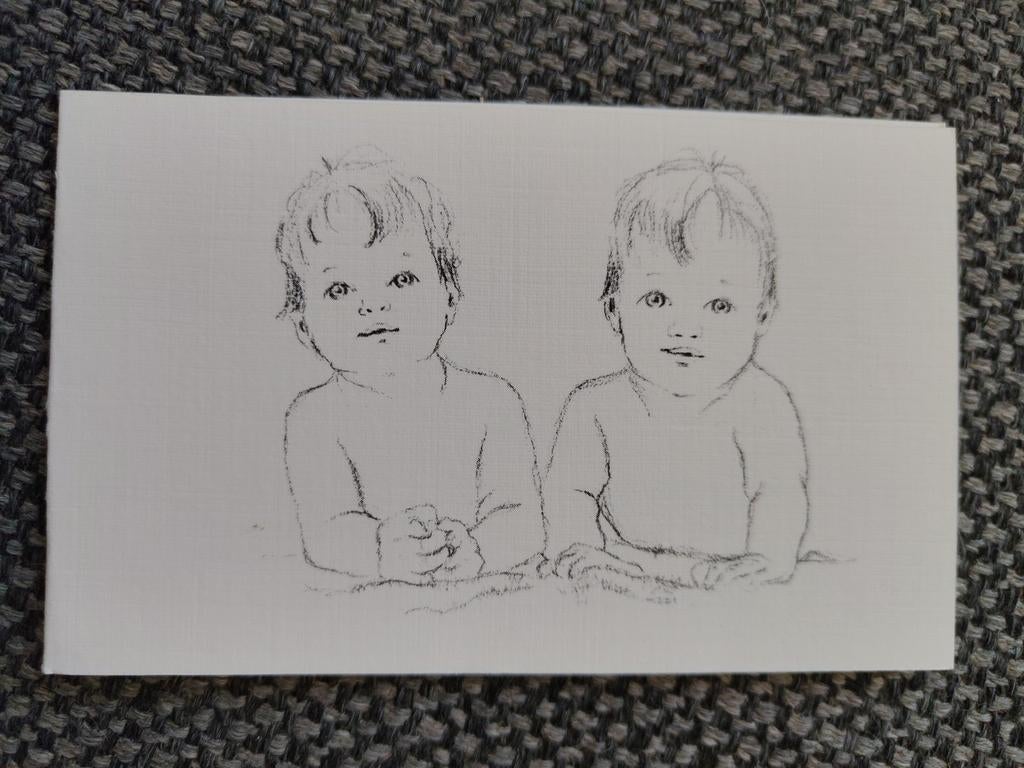 Tweeling te Heiloo, Ophalen of Verzenden, 1970 tot 1980, Geboortekaartje