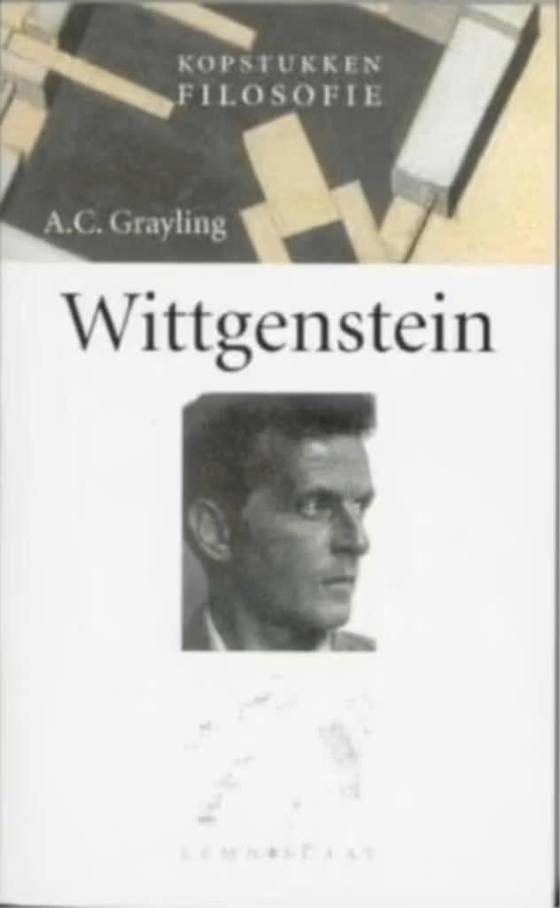 Kopstukken filosofie Wittgenstein, Boeken, Ophalen of Verzenden, Zo goed als nieuw, Algemeen