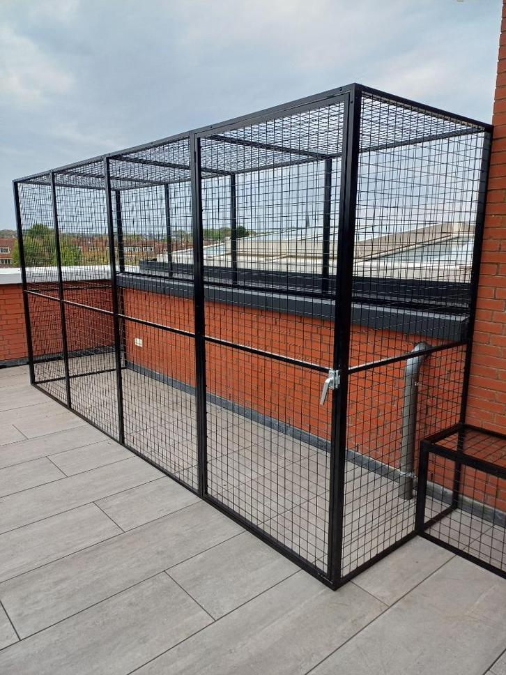 Kattenren Wassenaar | Maatwerk | Duurzame materialen, Dieren en Toebehoren, Katten-accessoires, Nieuw, Ophalen of Verzenden