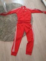 Adidas trainingspak kleur rood, Ophalen of Verzenden, Adidas, Gedragen, Rood