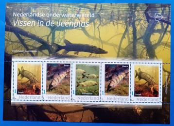 NVPH: V3642P: 8 "Nederlandse onderwaterwereld 2022"    beschikbaar voor biedingen