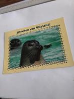 GROETEN.  VAN VLIELAND.   ZEEHOND, Ophalen of Verzenden, Waddeneilanden