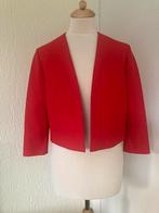 Boss - Hugo Boss rode bolero, nieuw, Kleding | Dames, Maat 38/40 (M), Verzenden, Nieuw, Jasje