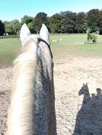 Gratis oude biologische paardenmest, Ophalen