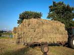 Hooipakjes te koop, Dieren en Toebehoren, Ophalen of Verzenden