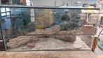 Terrarium 100x50x50, Ophalen, Gebruikt, Terrarium of Paludarium