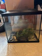 Superfish aquarium incl deco, Dieren en Toebehoren, Ophalen, Zo goed als nieuw, Leeg aquarium