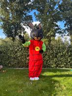 Te Huur: Bing-kostuum, Mascotte, Verkleedkleding, Bing, Ophalen of Verzenden, Zo goed als nieuw, Overige