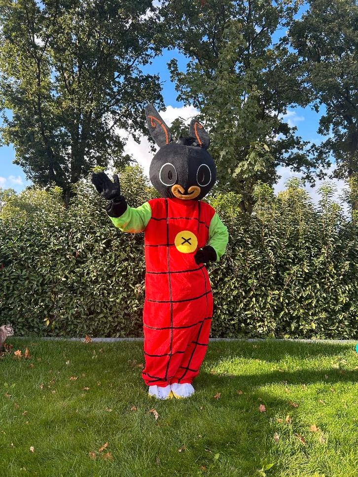 Te Huur: Bing-kostuum, Mascotte, Verkleedkleding, Bing, Hobby en Vrije tijd, Feestartikelen | Verhuur, Zo goed als nieuw, Overige