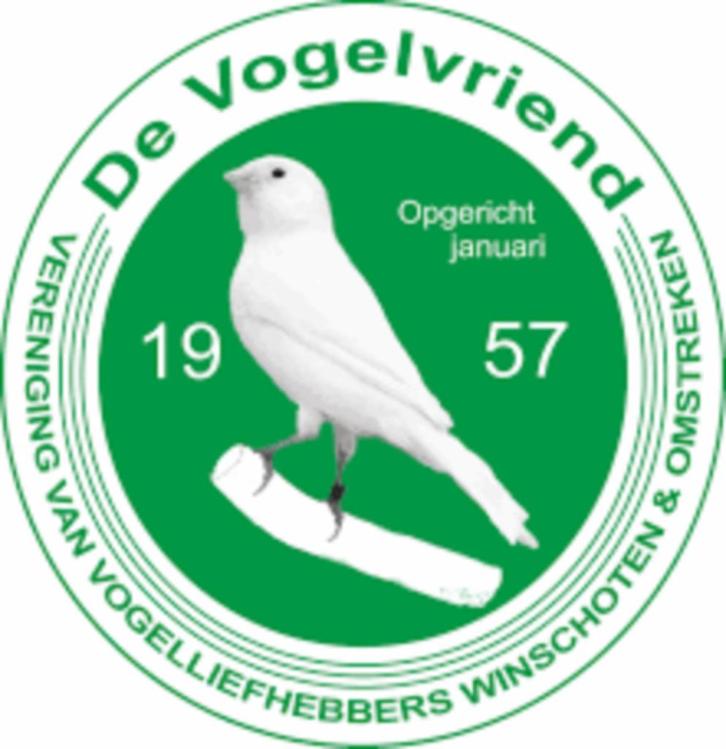 vogelmarkt Scheemda 22-11-2025, Dieren en Toebehoren, Vogels | Overige Vogels, Meerdere dieren