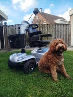 4 wiels scootmobiel - topstaat - Leo 4 Envacare, Ophalen, Zo goed als nieuw, Overige typen, Overige merken