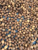 Verse walnoten, Ophalen of Verzenden