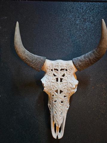 Decoratieve Stierenhoorn met Uitgesneden Motief beschikbaar voor biedingen