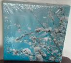Bloemen Schilderijtje/Foto, Ophalen of Verzenden, Nieuw, Foto of Poster, Minder dan 50 cm