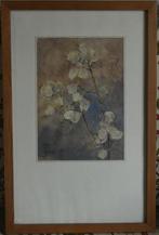 '' Bloemtak '', Ophalen of Verzenden