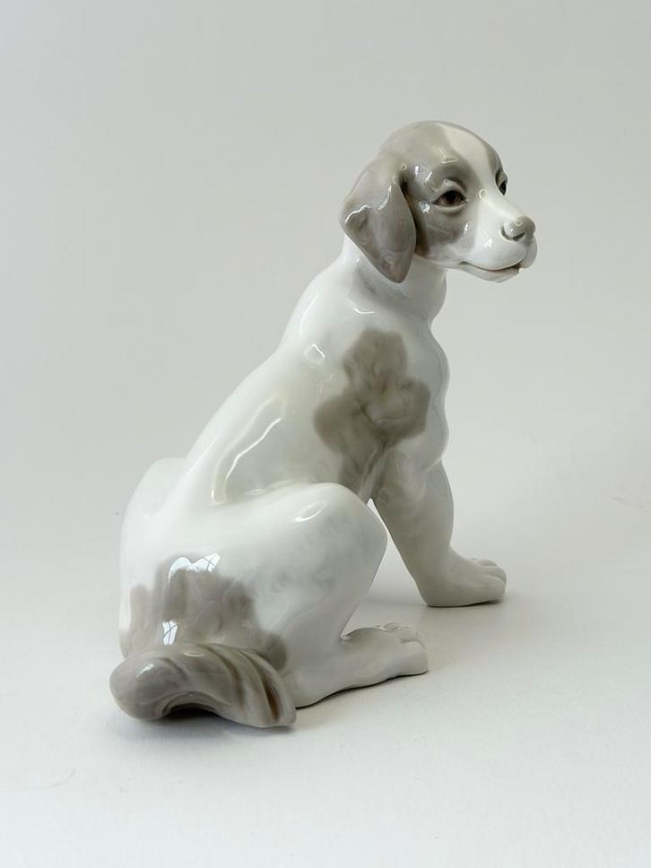 Schattige zittende  beagle van Lladro Nao - 15 cm hoog, Verzamelen, Beelden en Beeldjes, Zo goed als nieuw, Dier, Ophalen of Verzenden