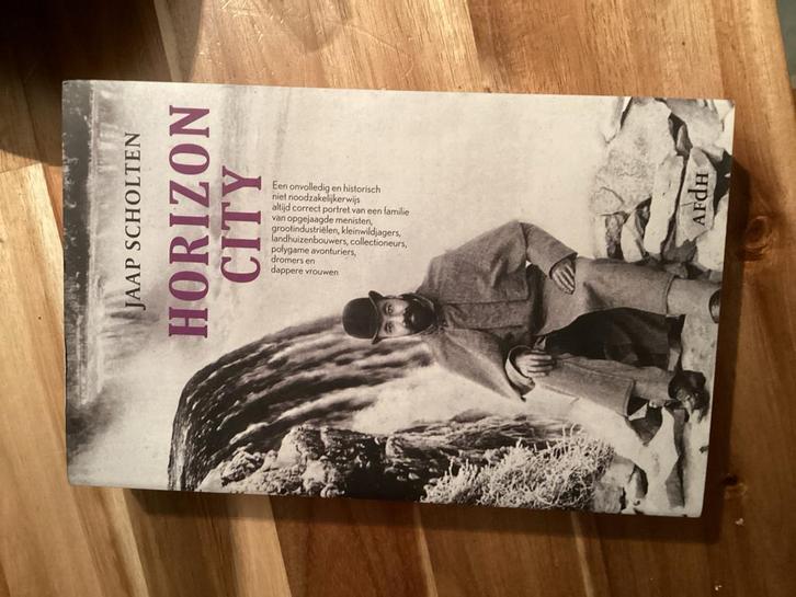 Horizon City - Jaap Scholten, Boeken, Romans, Zo goed als nieuw, Nederland, Ophalen of Verzenden