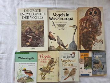 VOGELS in de natuur (ANWB, TIRION, SPECTRUM, REBO) beschikbaar voor biedingen