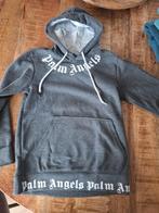 Palm Angels Hoodie - Maat M, Palm Angels, Maat 48/50 (M), Ophalen of Verzenden, Zo goed als nieuw
