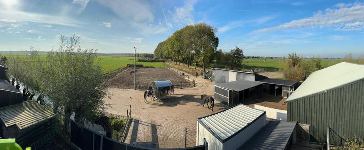 Er is plek op onze paddock paradise., Dieren en Toebehoren, Stalling en Weidegang, Stalling
