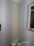 Muurverf Sikkens Alpha Rezisto – RAL 1015 (Licht Ivoor) 10L, Doe-het-zelf en Verbouw, Verf, Beits en Lak, 5 tot 10 liter, Ophalen of Verzenden