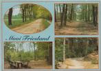 FRIESLAND Bosgezichten, Verzamelen, Ansichtkaarten | Nederland, Verzenden, 1980 tot heden, Ongelopen, Friesland