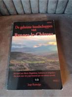 De geheime boodschappen van Rennes le Chateau, Ophalen of Verzenden, Gelezen