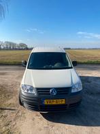 Volkswagen 2009 Wit, Auto's, 13 km/l, 1370 kg, Volkswagen, Wit