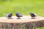 Vogelstjes - Mooievogels, Tuin en Terras, Tuinbeelden, Nieuw, Ophalen of Verzenden, Metaal, Dierenbeeld