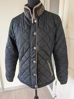 L'Argentina jas XL, Ophalen of Verzenden, Zo goed als nieuw, Maat 46/48 (XL) of groter, Blauw