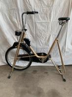 Originele vintage home trainer (prachtig decorstuk), Fietsen en Brommers, Fietsen | Oldtimers, Ophalen of Verzenden