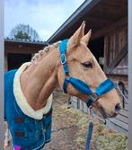 Halster Maat cob, 1x gebruikt, Ophalen of Verzenden, Zo goed als nieuw, Overige soorten