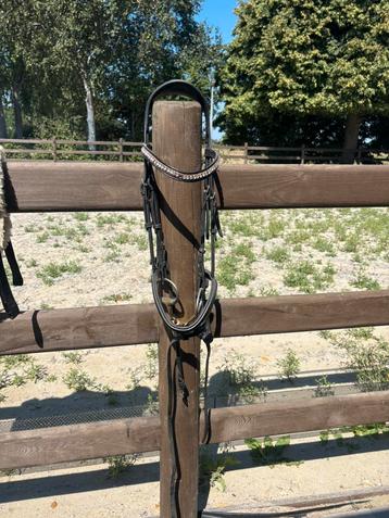 Hoofdstel maat full evt met bit beschikbaar voor biedingen