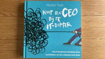 Komt een CEO bij de IT-dokter - Wolter Toet beschikbaar voor biedingen