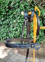 🔴NIEUW BORSTTUIG MET STRENGEN, FULL-GROTE COB 125 €  🔴, Dieren en Toebehoren, Ophalen of Verzenden