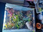 Terrarium 70x40x40, Ophalen of Verzenden, Zo goed als nieuw