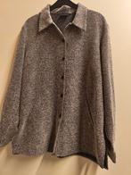 Grijze blouse met dikke stof, Kleding | Dames, Biaggini, Maat 42/44 (L), Ophalen of Verzenden, Zo goed als nieuw