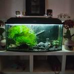 Aquarium 100 liter, Ophalen, Zo goed als nieuw, Leeg aquarium