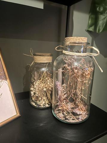 Droogbloemen in Glazen Potten - Set van 2 beschikbaar voor biedingen