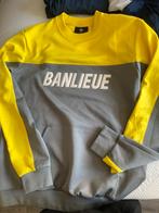 Banlieue trui, Maat 52/54 (L), Ophalen of Verzenden, Grijs, Gedragen