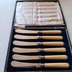 Antieke Fruitmesjes in Cassette, Antiek en Kunst, Ophalen of Verzenden