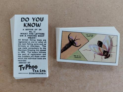 Do You Know complete set 24 tea cards Ty-Phoo Tea 1962, Verzamelen, Overige Verzamelen, Ophalen