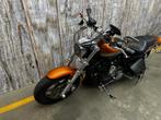HARLEY-DAVIDSON 1200 CUSTOM LIMITED A (bj 2014), 2 cilinders, HARLEY-DAVIDSON, Motorrijbewijs A, Bedrijf