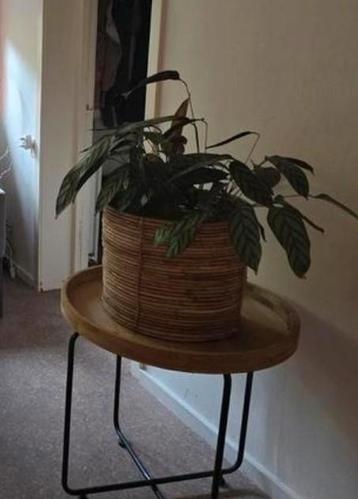 Bijzettafeltje rond houten blad met poten zwart ijzer beschikbaar voor biedingen