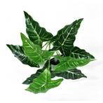 ALOCASIA - KUNST BOSJE, Ophalen of Verzenden, Nieuw