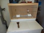 Broedhokken 1 enkele en 2 dubbele nog geen jaar oud, Dieren en Toebehoren, Ophalen of Verzenden, Zo goed als nieuw, Aluminium