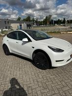 Tesla Model Y 2023 Wit, Automaat, Achterwielaandrijving, Zwart, Wit
